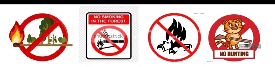 होली त्योहार मे ‘ वन विभाग की आम जन मानस से जनहीत में अपिल ।