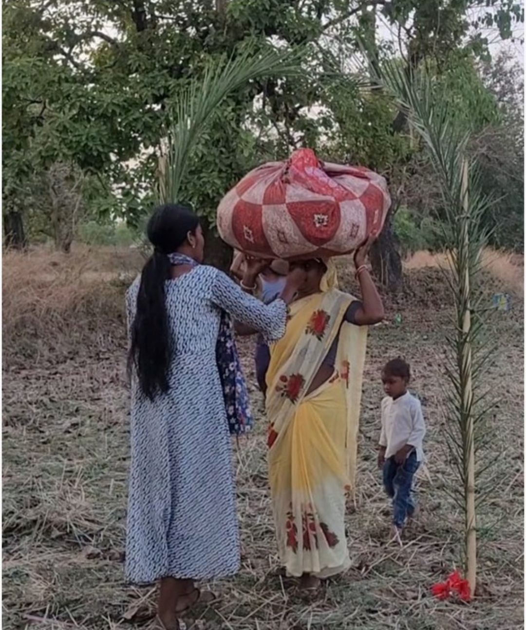 तेंदूपत्ता संग्राहकों मे गजब का उत्साह तेंदूपत्ता खरीदी का शुभारंभ संग्राहकों का तिलक लगाकर किया स्वागत ।