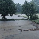 बीजापुर में लगातार भारी बारिश, रेड अलर्ट जारी; किसानों के चेहरे खिले, जनजीवन भी हुआ प्रभावित ।