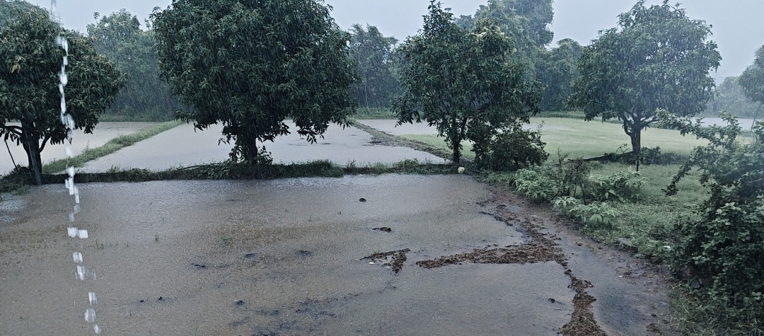 बीजापुर में लगातार भारी बारिश, रेड अलर्ट जारी; किसानों के चेहरे खिले, जनजीवन भी हुआ प्रभावित ।
