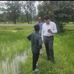 कलेक्टर का दौरा खेतों पर क्या है। वास्तविक स्थिती क्या हो रहा है गिरदावरी का । पुछा हाल ।