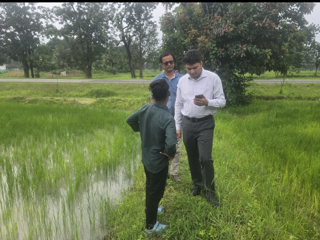 कलेक्टर का दौरा खेतों पर क्या है। वास्तविक स्थिती क्या हो रहा है गिरदावरी का । पुछा हाल ।
